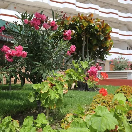 Agaete Parque: Vista Piscina * Playa del Inglés
