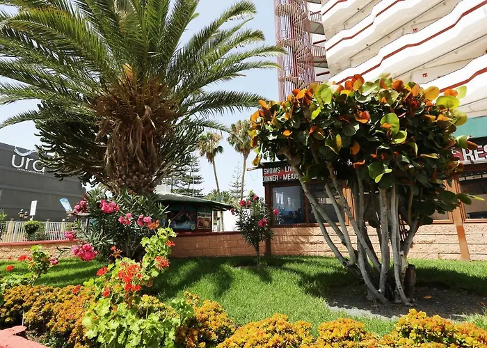 Agaete Parque: Vista Piscina * Playa del Inglés