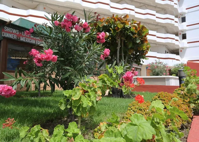 Agaete Parque: Vista Piscina * Playa del Inglés